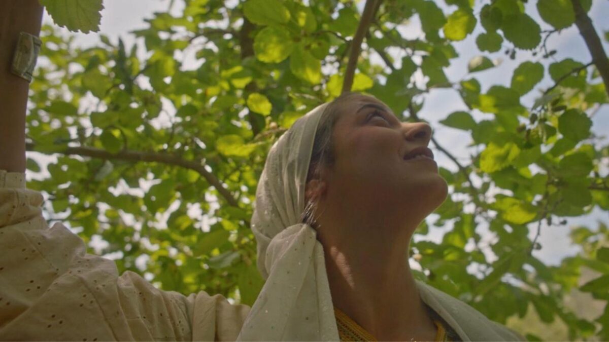 “The Version of My Homeland That I Was Robbed of”: Reem Jubran on Her Student Short Film Showcase Winner Don’t Be Long, Little Bird