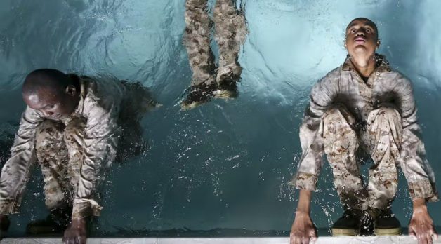 “Pretend Sonic Youth Composed the Score to Jaws”: Deakin and Geologist of Animal Collective on Scoring The Inspection